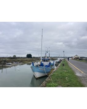 Bateau de pêche au commerce à vendre