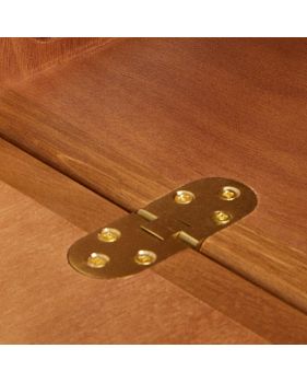 COUNTER FLAP BRASS HINGE