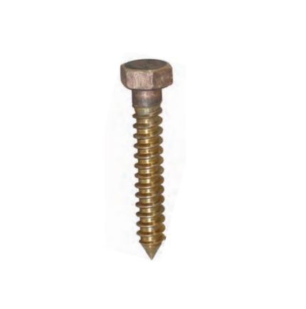 Bronze hexagon lag bolt