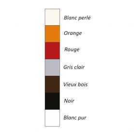 Pâte colorante en 37ml COELAN