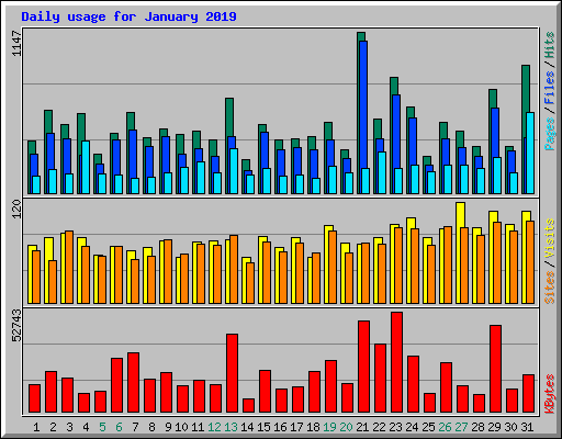 Daily usage for January 2019