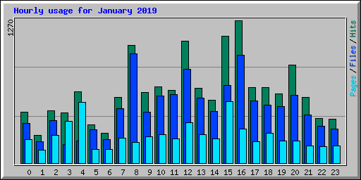 Hourly usage for January 2019