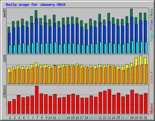 Daily usage for January 2019