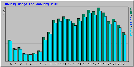 Hourly usage for January 2019