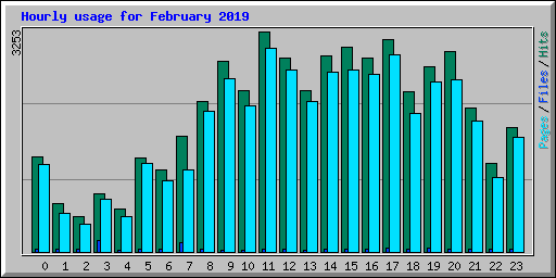 Hourly usage for February 2019