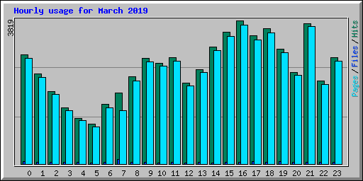 Hourly usage for March 2019