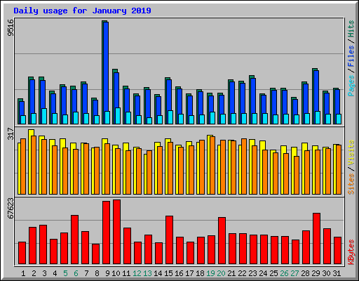 Daily usage for January 2019