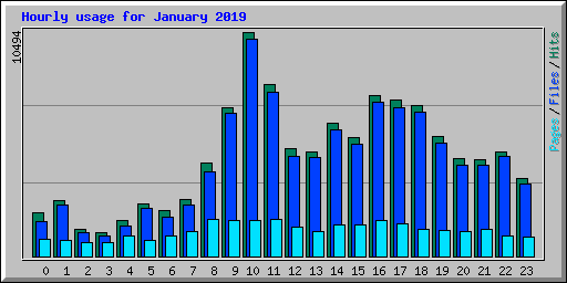 Hourly usage for January 2019