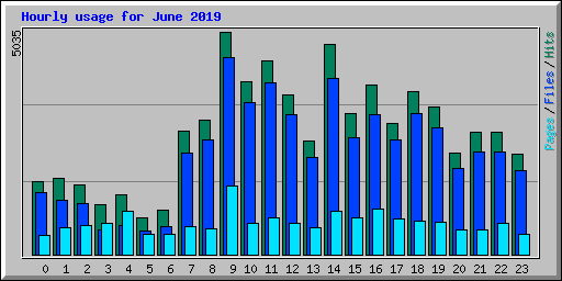 Hourly usage for June 2019