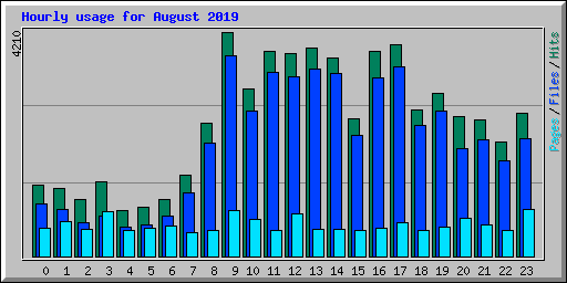 Hourly usage for August 2019