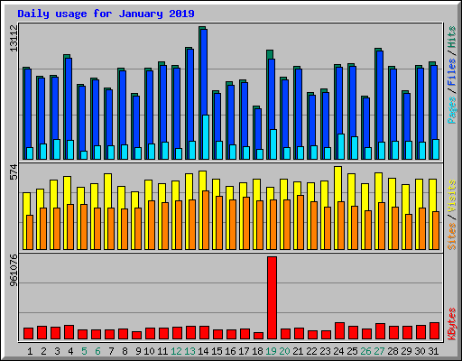 Daily usage for January 2019