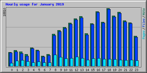 Hourly usage for January 2019